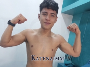 Katenaimm