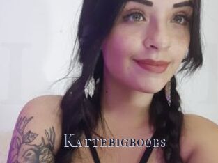 Kattebigboobs