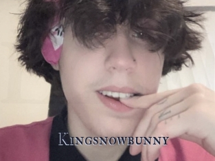 Kingsnowbunny