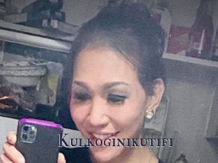 Kulkoginikutifi