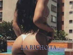 LA_BICHOTA