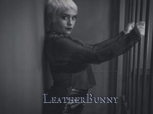 LeatherBunny