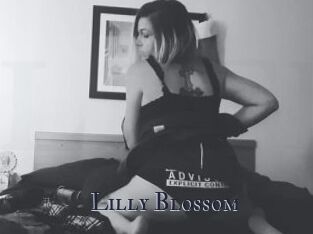 Lilly_Blossom