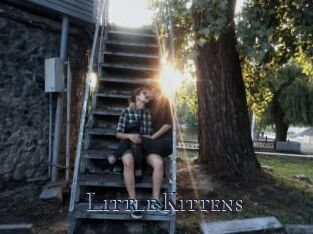 Little_Kittens