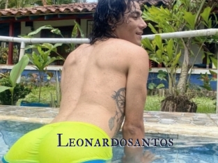 Leonardosantos