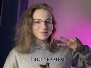 Lillybambus