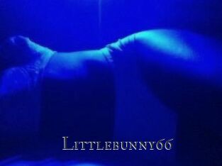 Littlebunny66