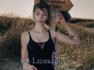 Lizhkamics