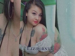 Lizhorney