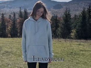 Lladybugg