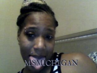 MSMICHIGAN