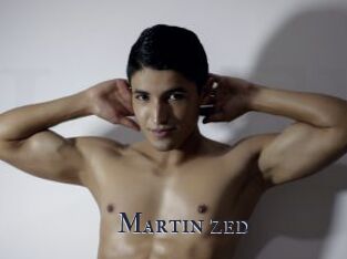 Martin_zed