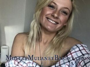 MollieMulaneyBabestation