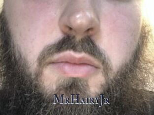 MrHairyJr