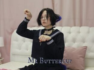 Mr_Buttercup