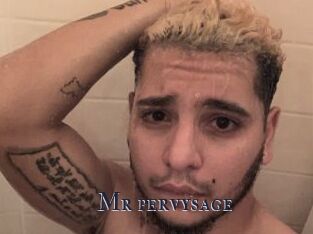 Mr_pervysage