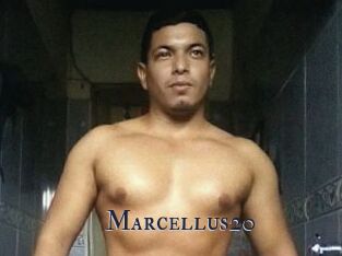 Marcellus20