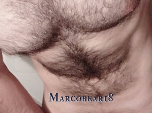 Marcobear18