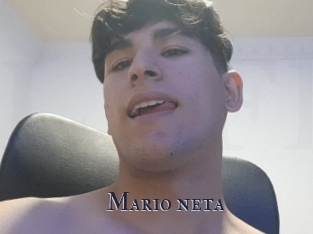 Mario_neta