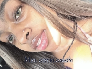 Mel_odyblossom