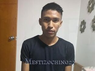 Mestizochino23