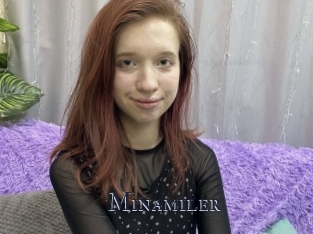Minamiler