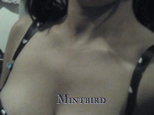 Mintbird