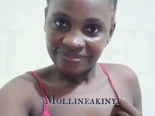 Mollineakinyi