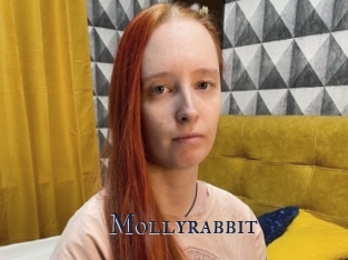 Mollyrabbit