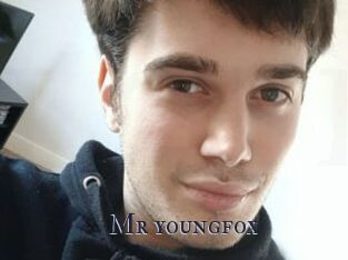 Mr_youngfox