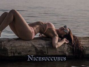 Nicesuccubus