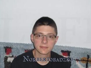 Norbertobadzso