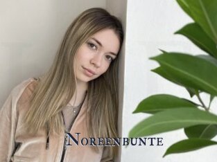 Noreenbunte