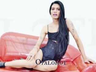 Opalohot