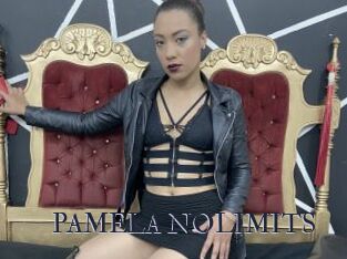 PAMELA_NOLIMITS