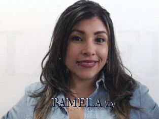 PAMELA_zv