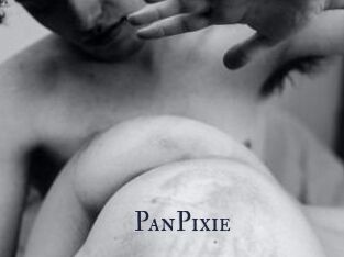 PanPixie