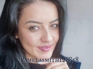 Pamelasmith128858