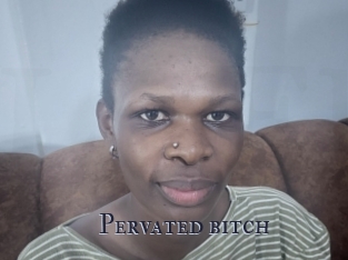 Pervated_bitch