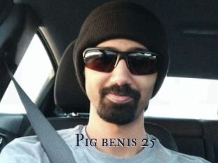 Pig_benis_25