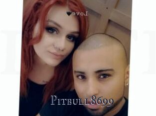 Pitbull8699