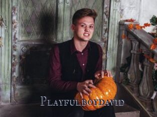 Playfulboydavid