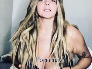 Poppybud