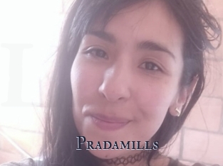 Pradamills