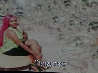 Princess23