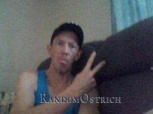 RandomOstrich Links 2 Freeporn