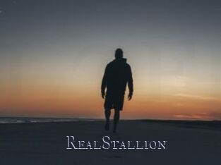 RealStallion