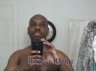 Rodney_Rabbit