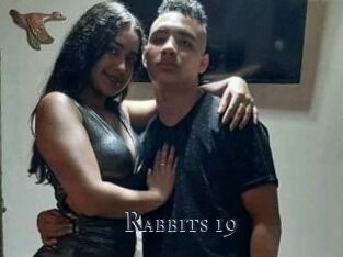 Rabbits_19
