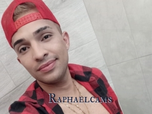 Raphaelcams